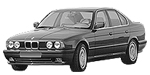BMW E34 P040B Fault Code